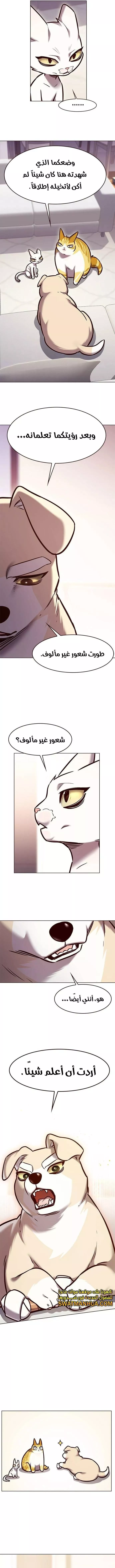 Read Eleceed AR Manga Online