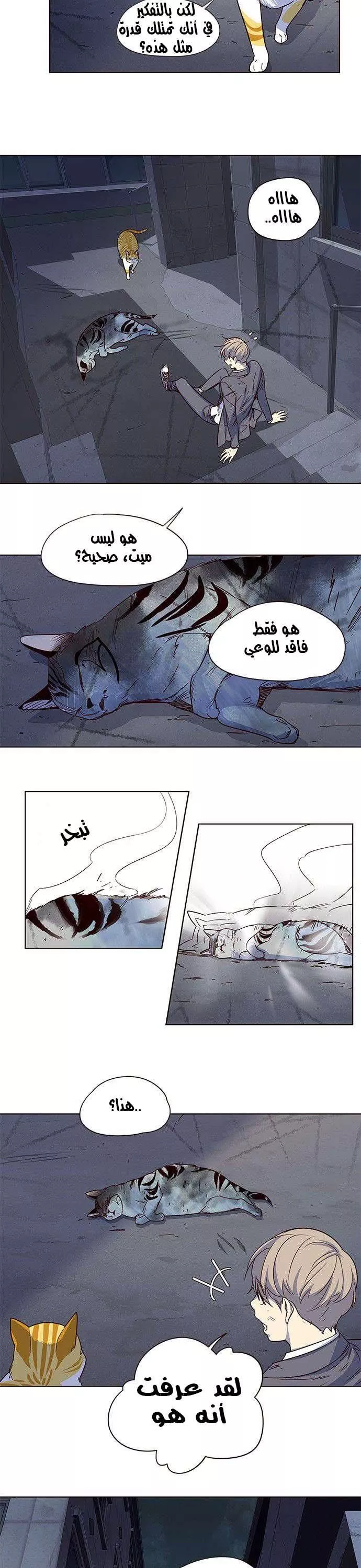 Read Eleceed AR Manga Online