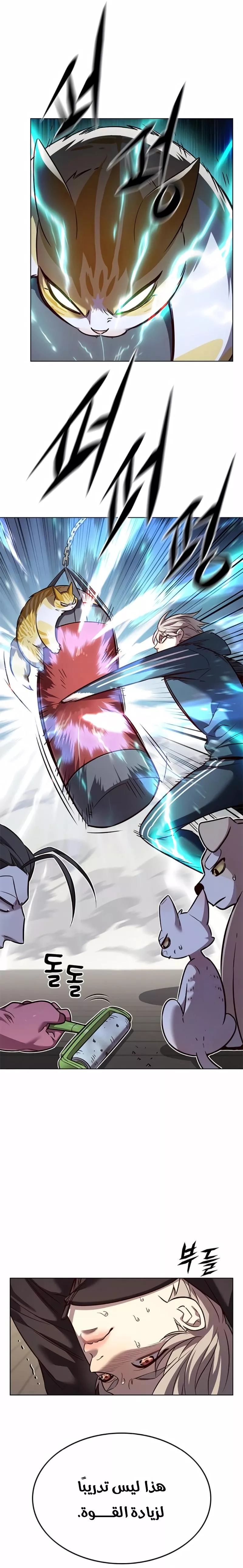Read Eleceed AR Manga Online