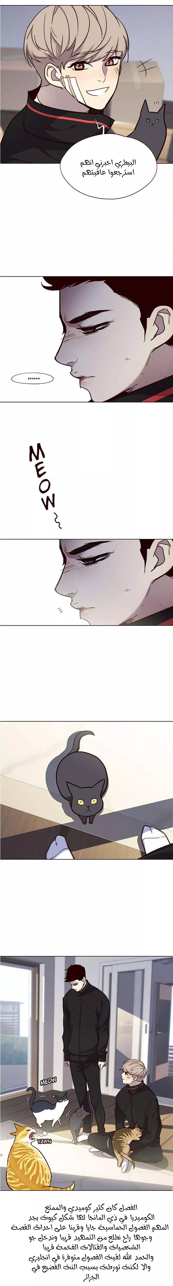 Read Eleceed AR Manga Online