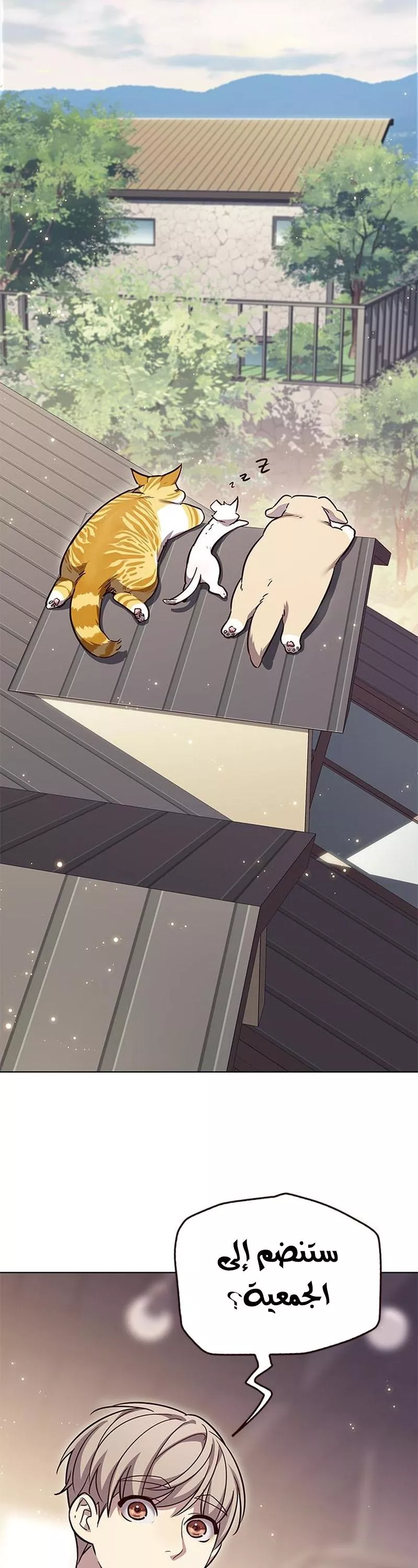 Read Eleceed AR Manga Online