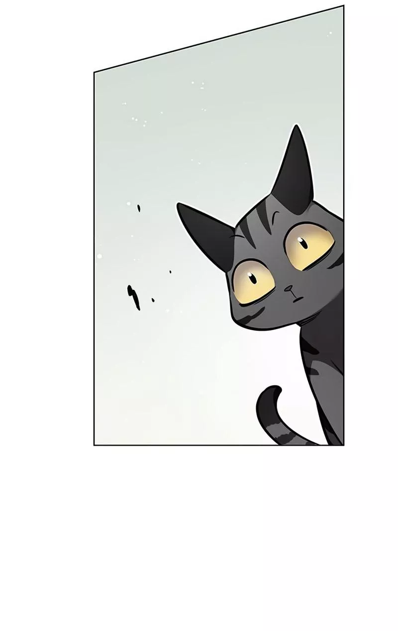 Read Eleceed AR Manga Online