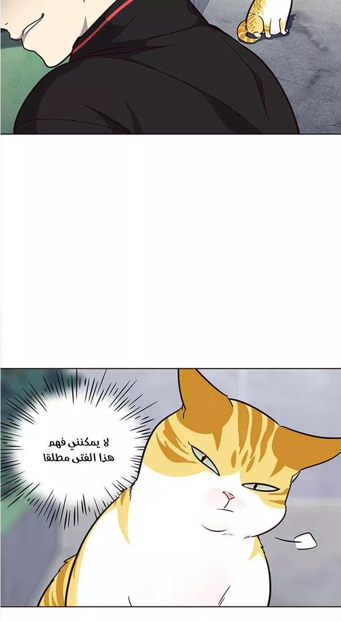 Read Eleceed AR Manga Online