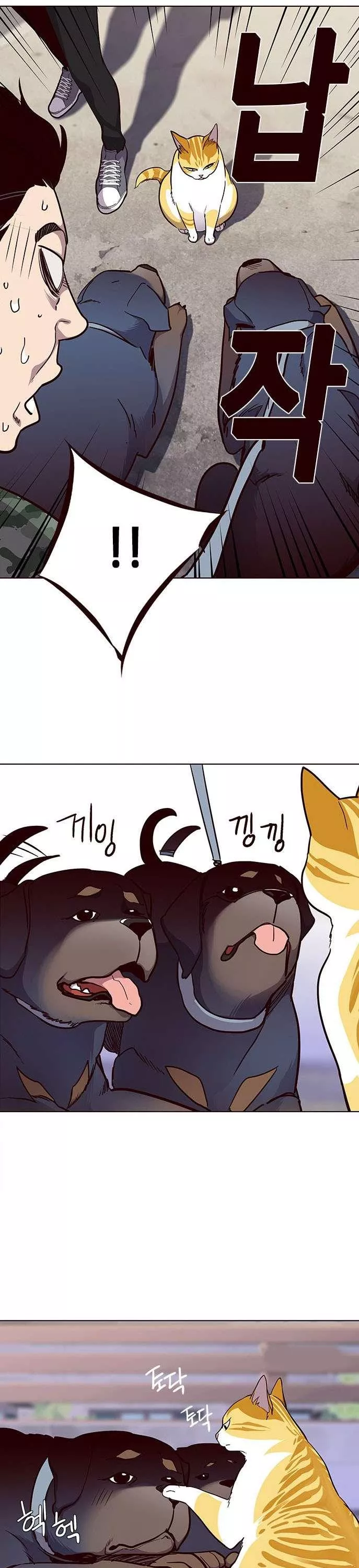 Read Eleceed AR Manga Online