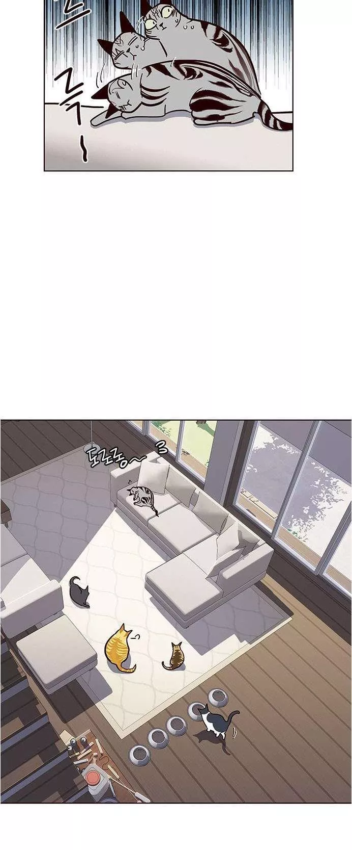 Read Eleceed AR Manga Online