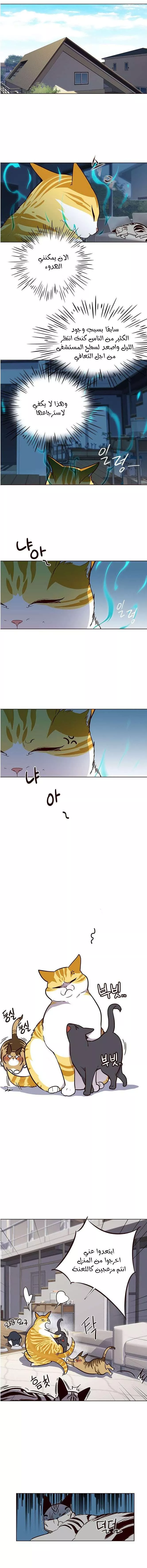 Read Eleceed AR Manga Online