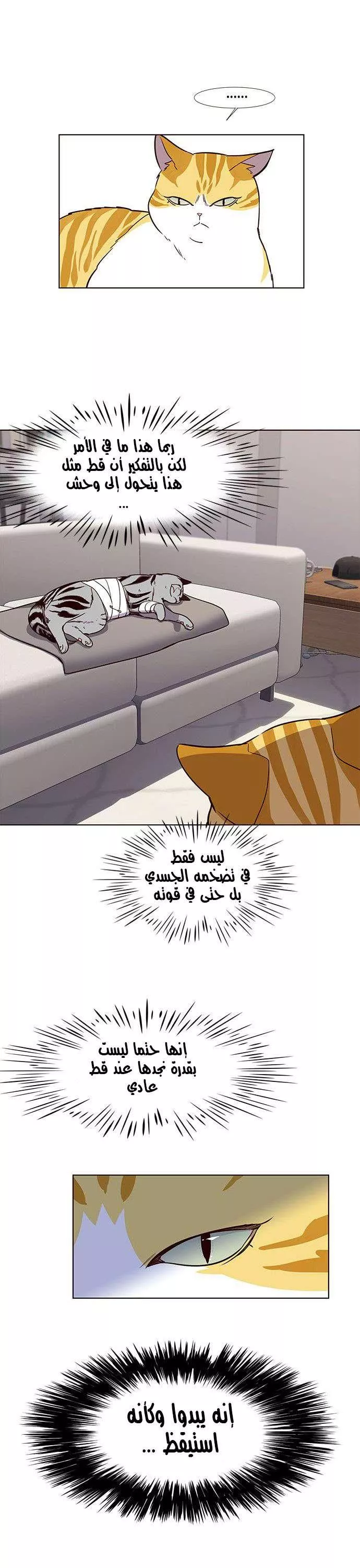 Read Eleceed AR Manga Online