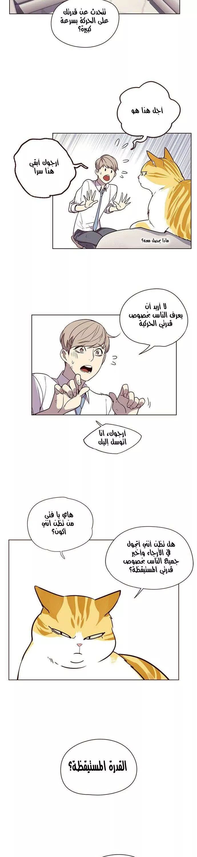 Read Eleceed AR Manga Online