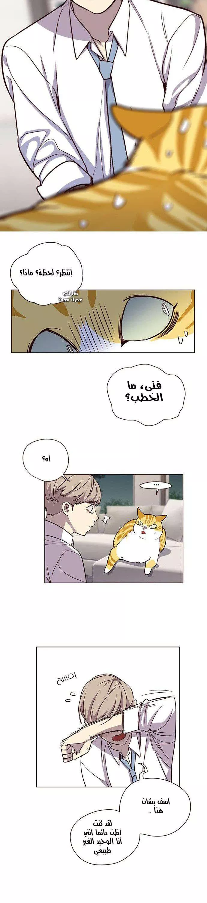 Read Eleceed AR Manga Online