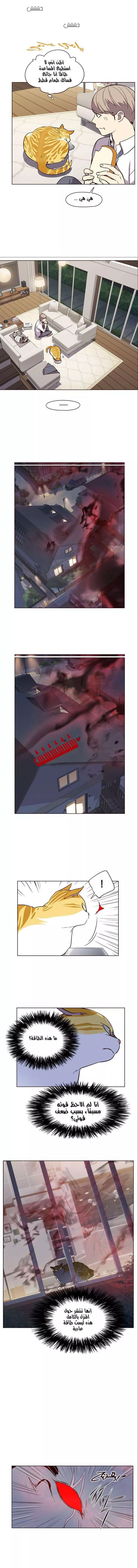 Read Eleceed AR Manga Online