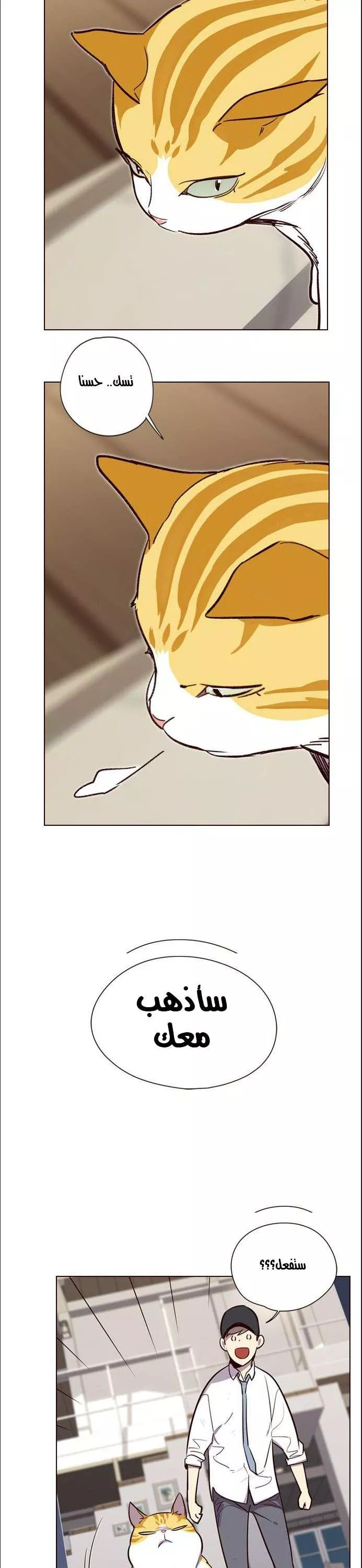 Read Eleceed AR Manga Online