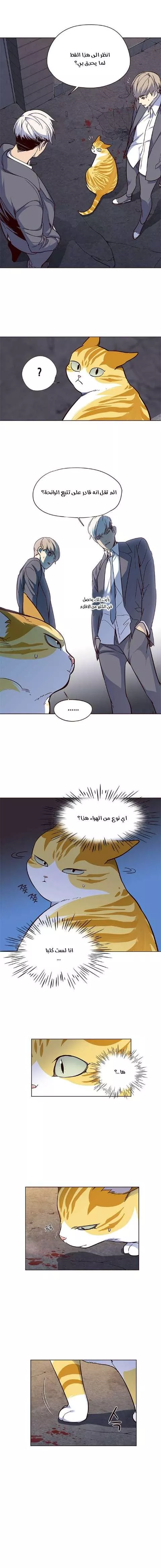 Read Eleceed AR Manga Online