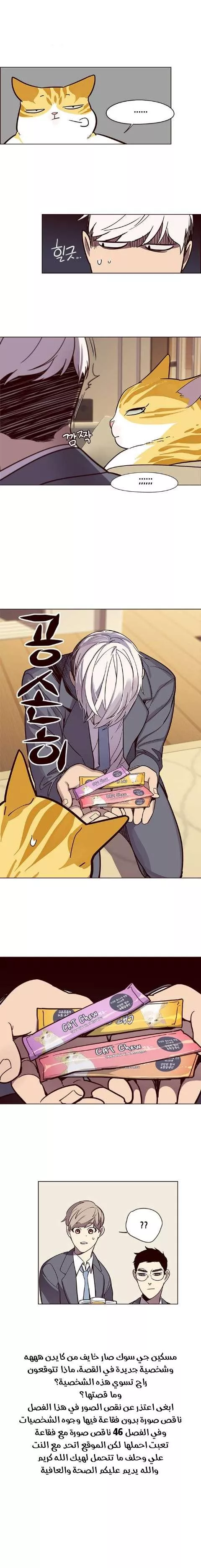 Read Eleceed AR Manga Online