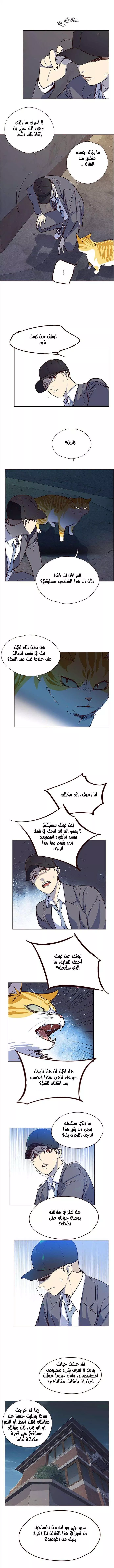 Read Eleceed AR Manga Online