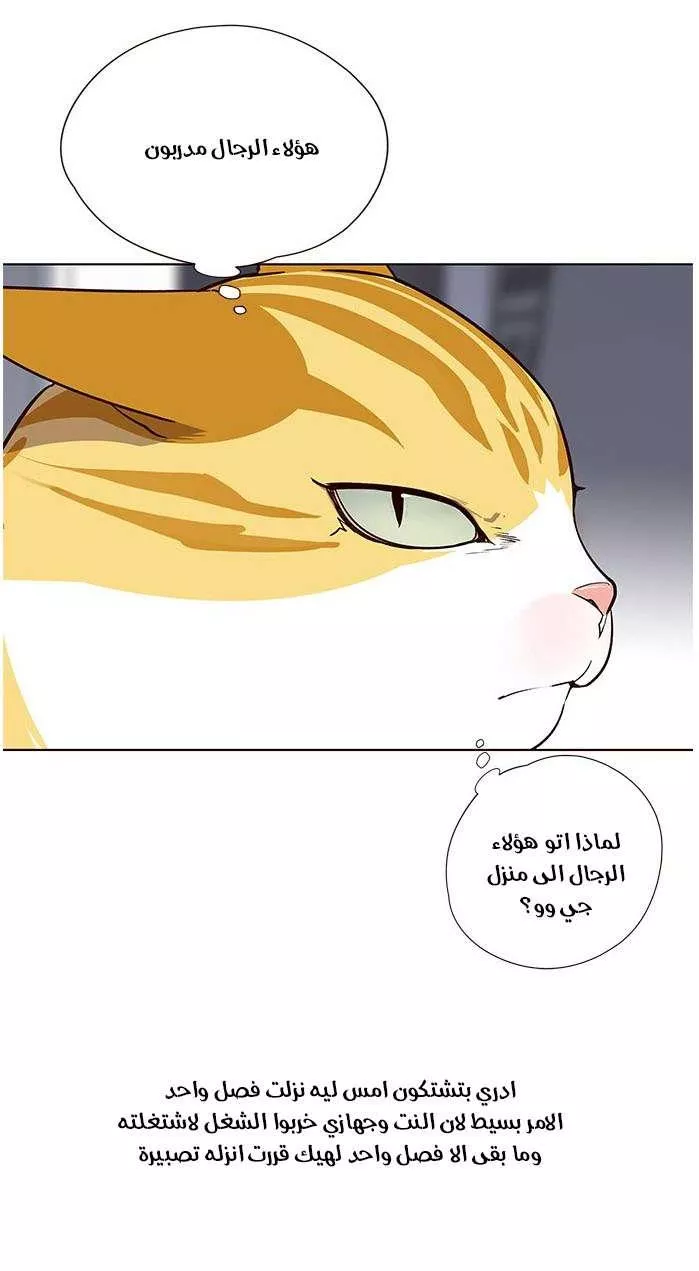 Read Eleceed AR Manga Online