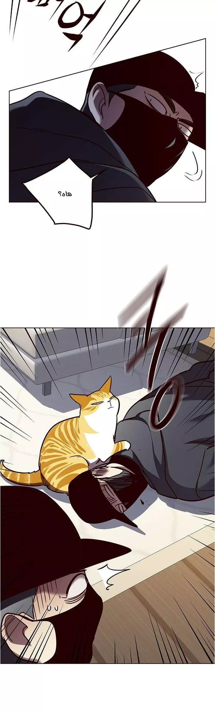 Read Eleceed AR Manga Online