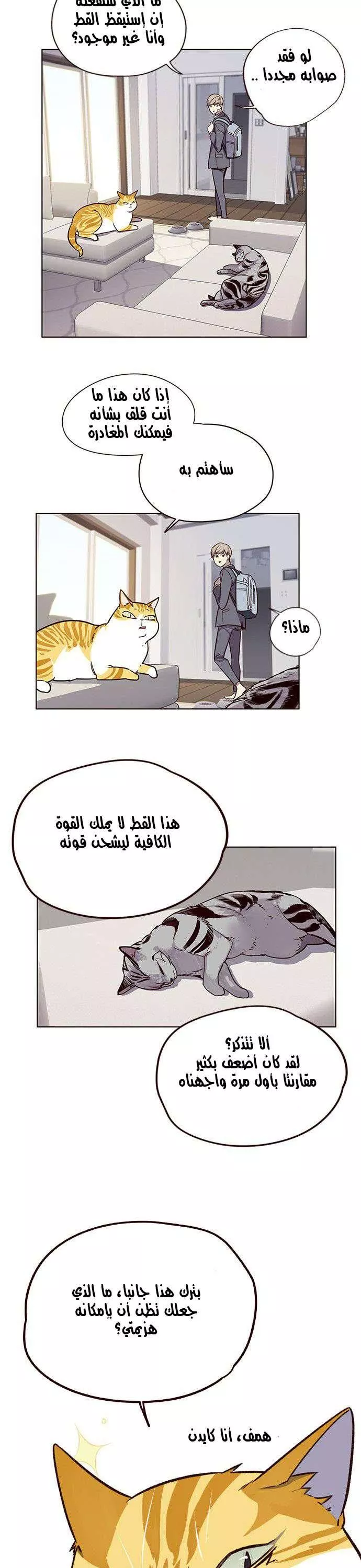 Read Eleceed AR Manga Online