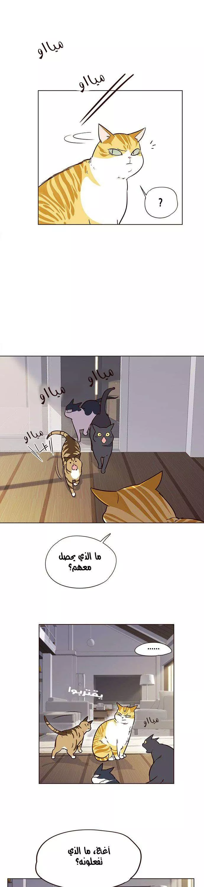 Read Eleceed AR Manga Online