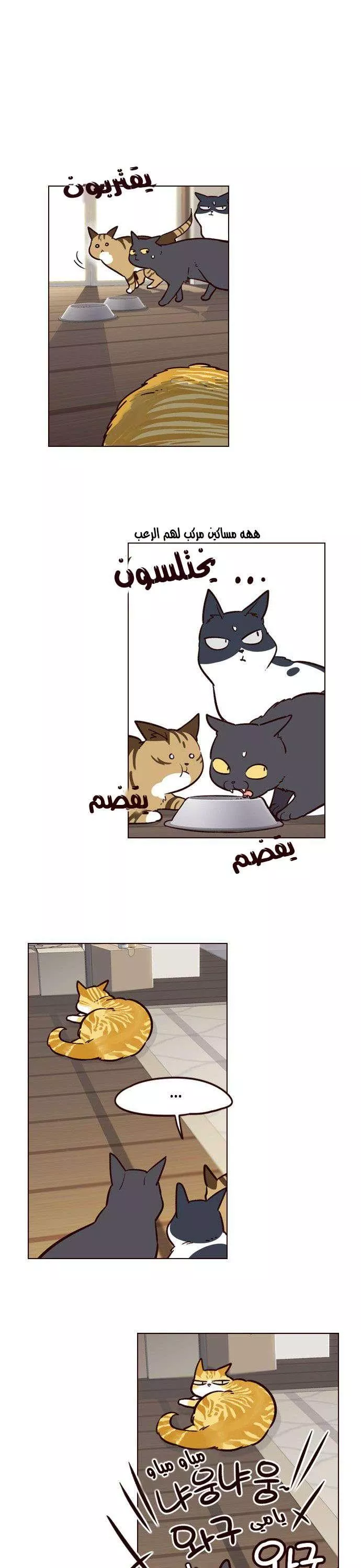 Read Eleceed AR Manga Online