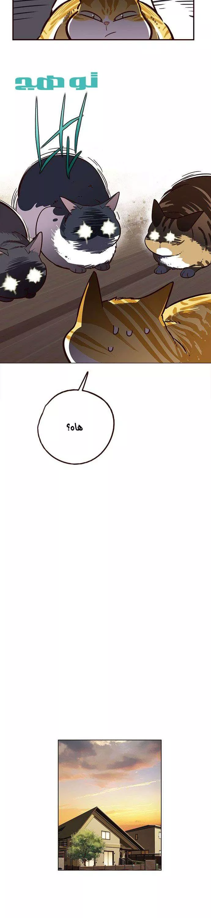 Read Eleceed AR Manga Online