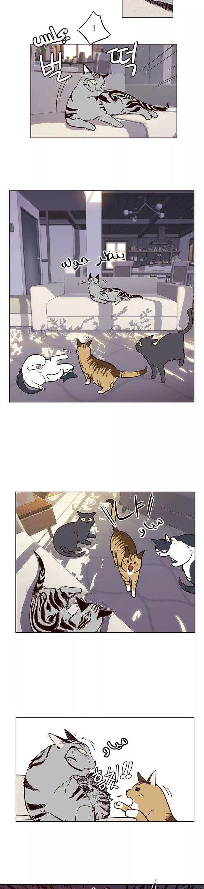 Read Eleceed AR Manga Online