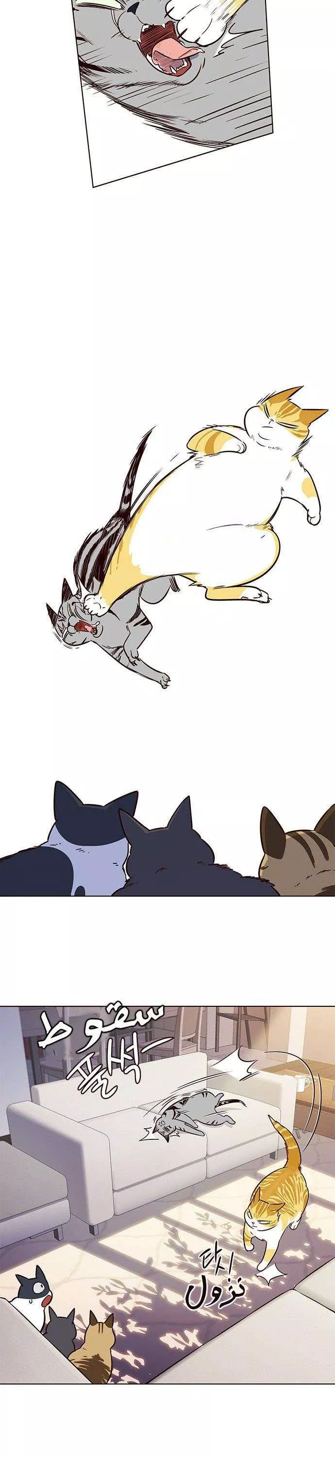 Read Eleceed AR Manga Online