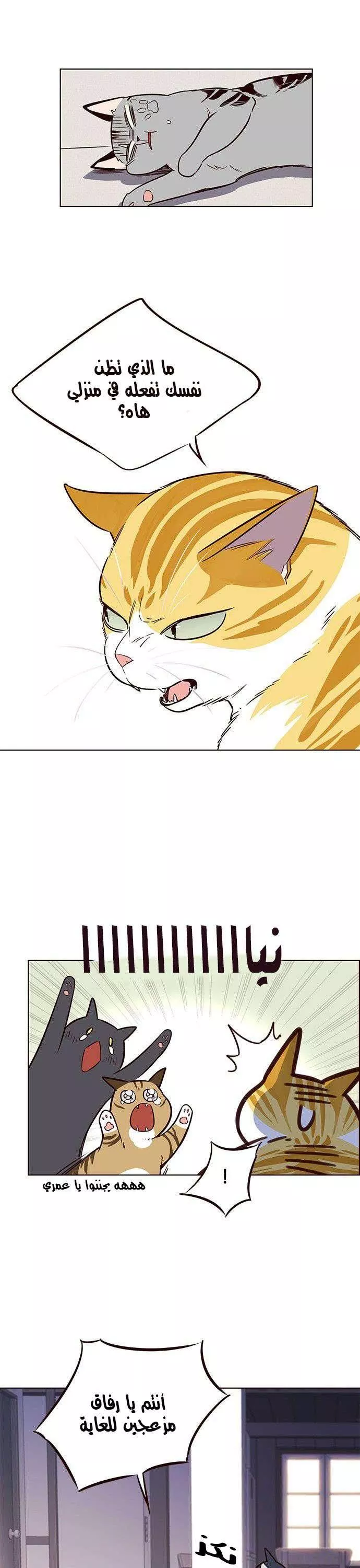 Read Eleceed AR Manga Online