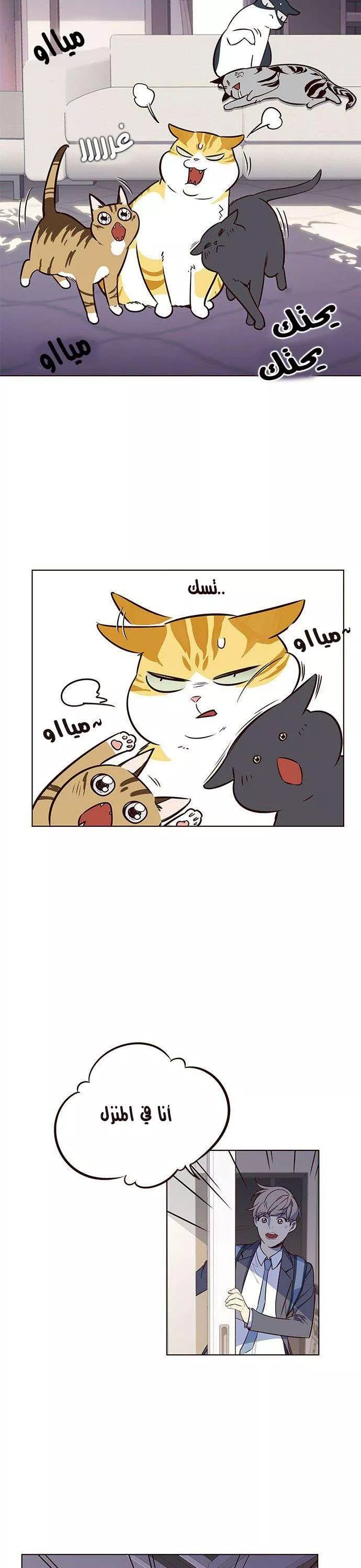 Read Eleceed AR Manga Online