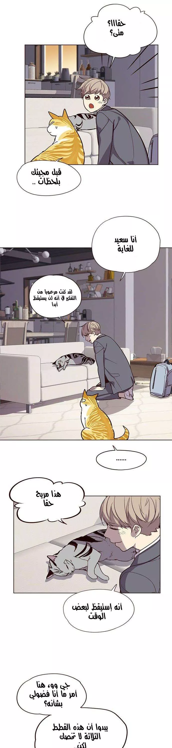 Read Eleceed AR Manga Online