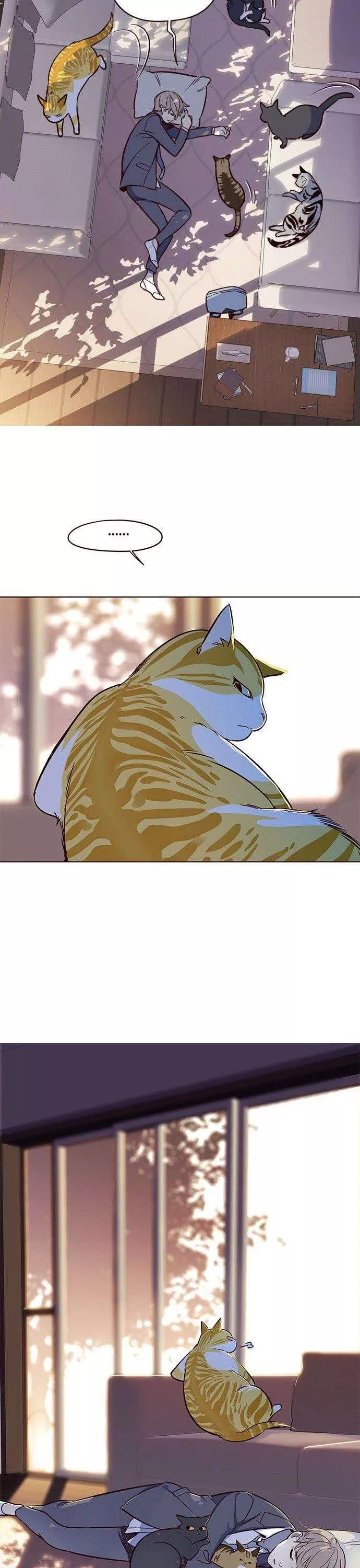 Read Eleceed AR Manga Online