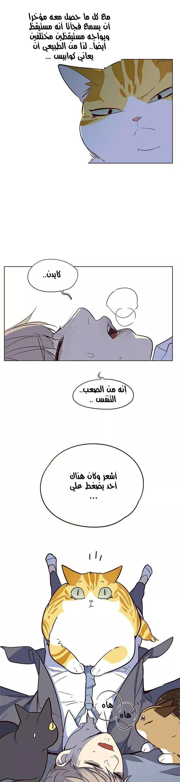 Read Eleceed AR Manga Online