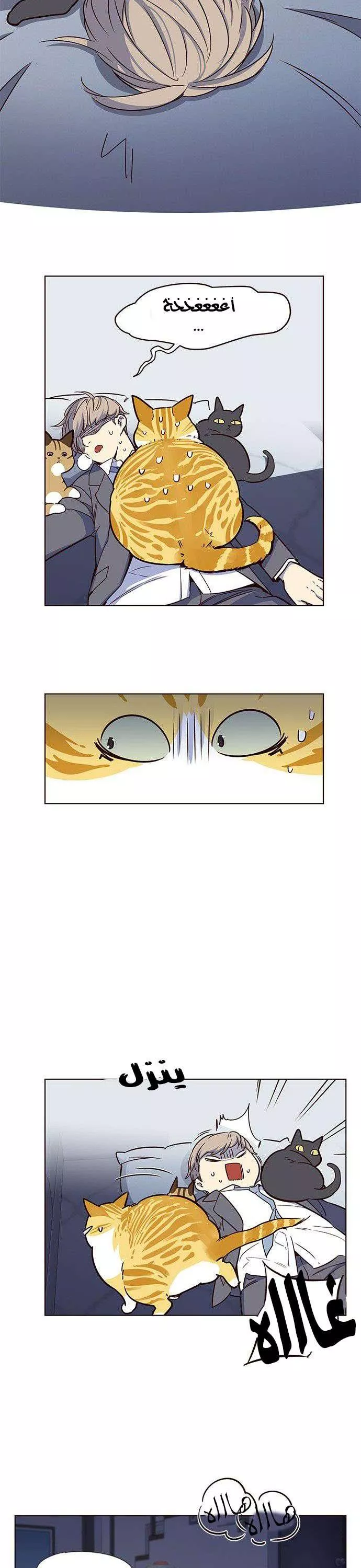 Read Eleceed AR Manga Online