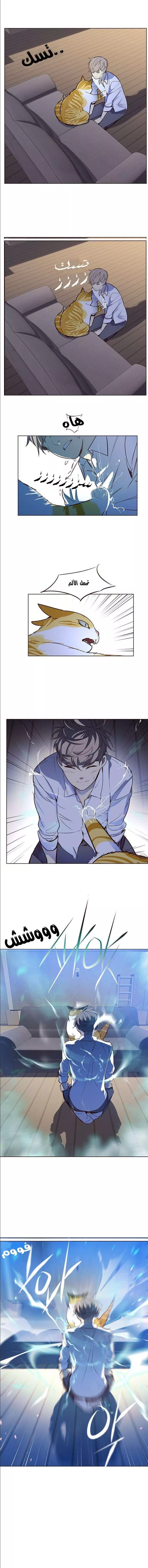 Read Eleceed AR Manga Online