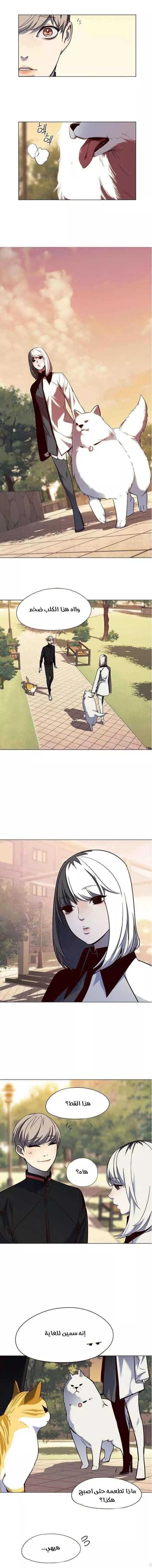 Read Eleceed AR Manga Online