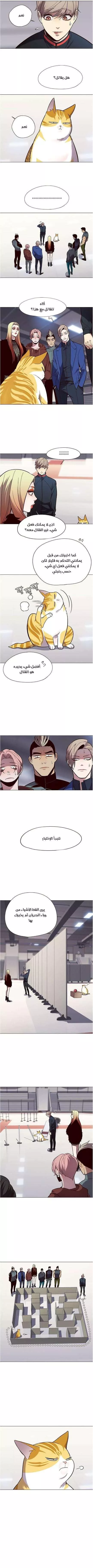 Read Eleceed AR Manga Online