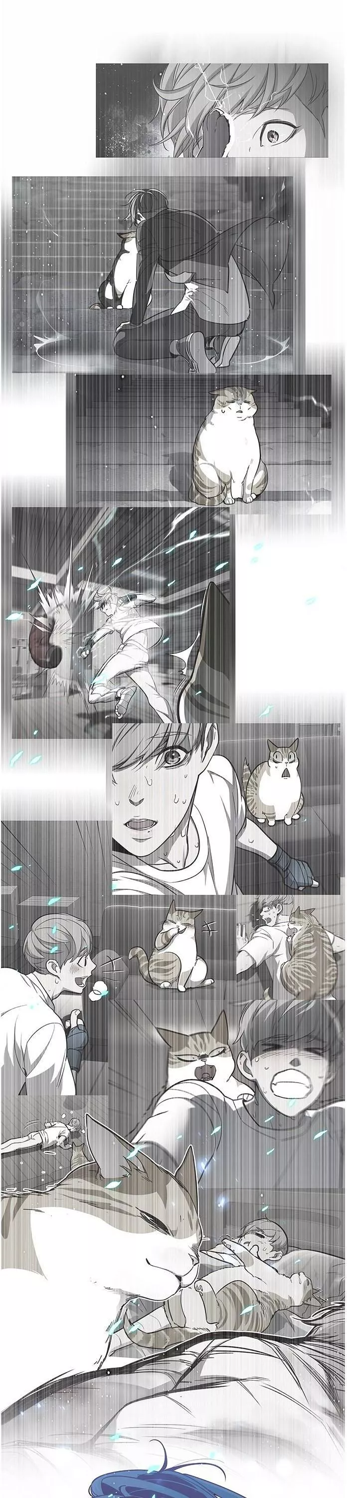 Read Eleceed AR Manga Online