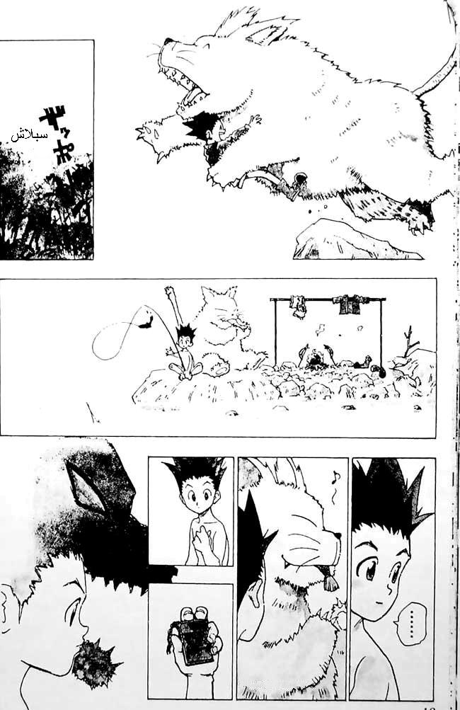 Read Hunter x Hunter AR Manga Online