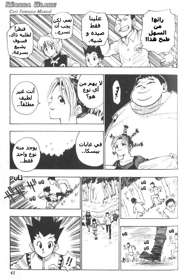 Read Hunter x Hunter AR Manga Online