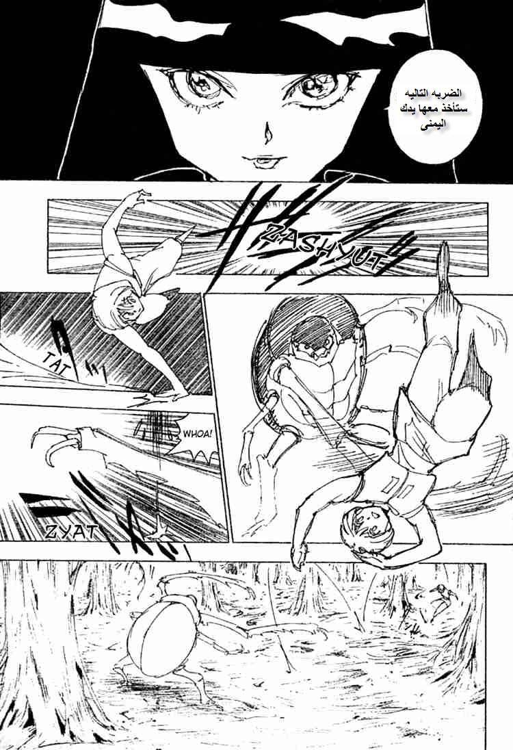 Read Hunter x Hunter AR Manga Online