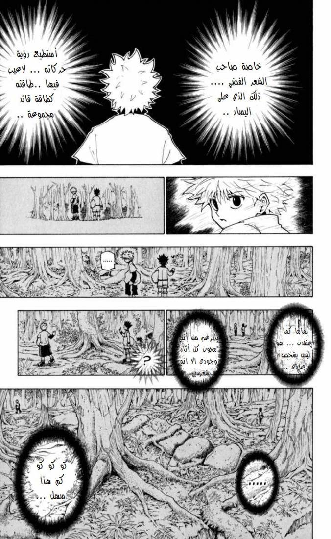 Read Hunter x Hunter AR Manga Online