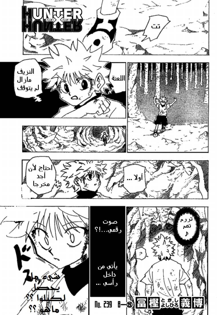 Read Hunter x Hunter AR Manga Online