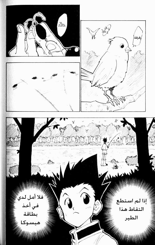 Read Hunter x Hunter AR Manga Online