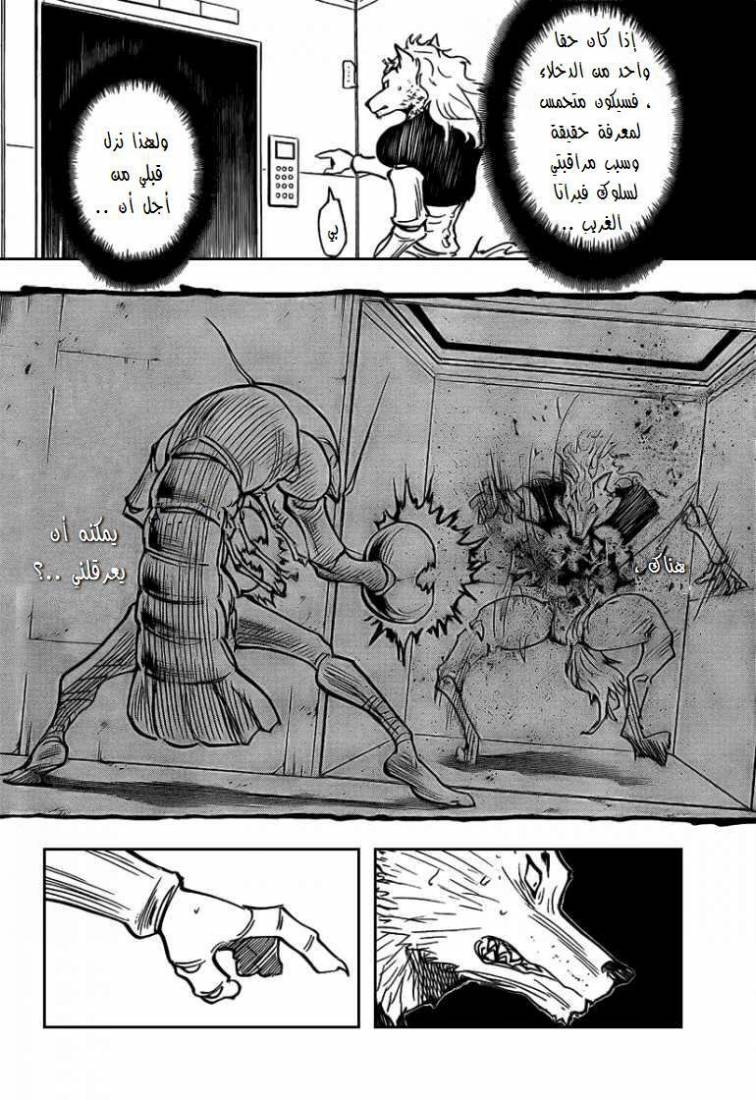 Read Hunter x Hunter AR Manga Online