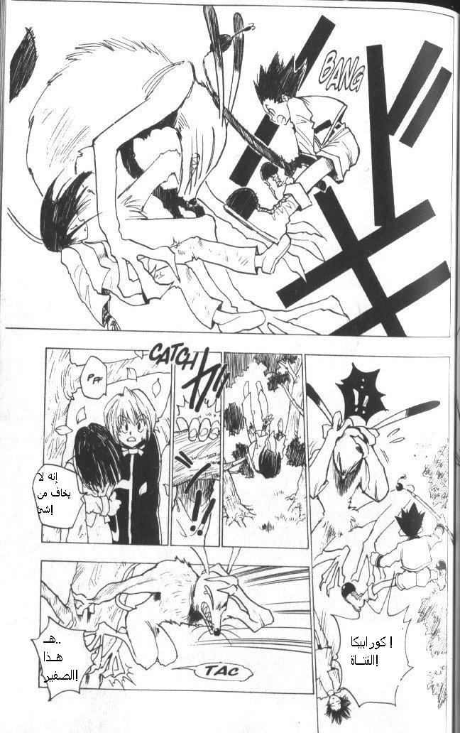 Read Hunter x Hunter AR Manga Online