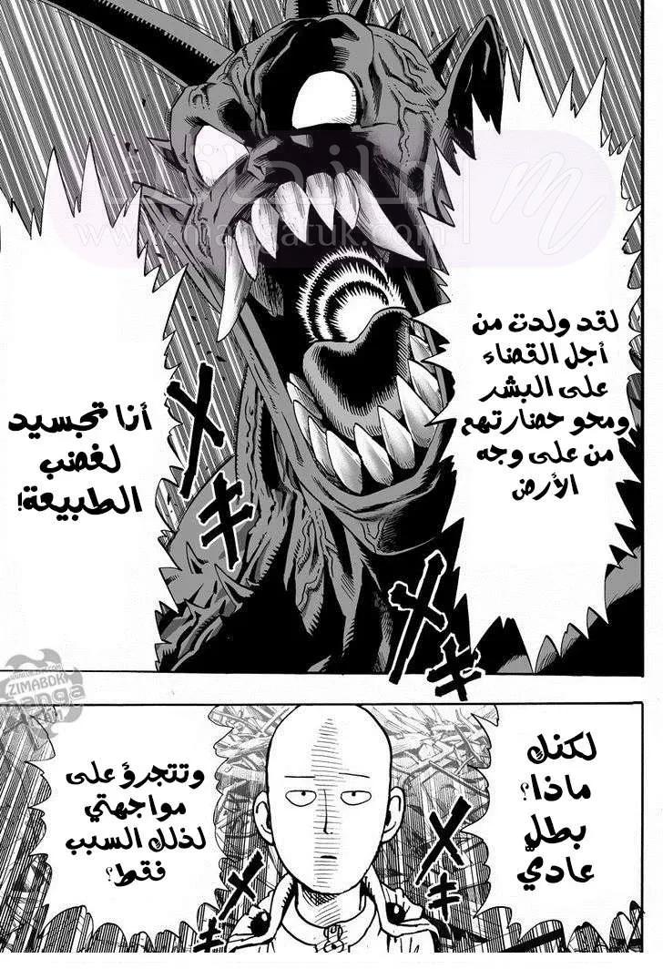Read One Punch Man AR Manga Online