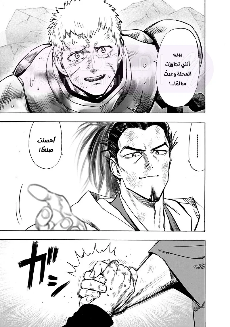 Read One Punch Man AR Manga Online