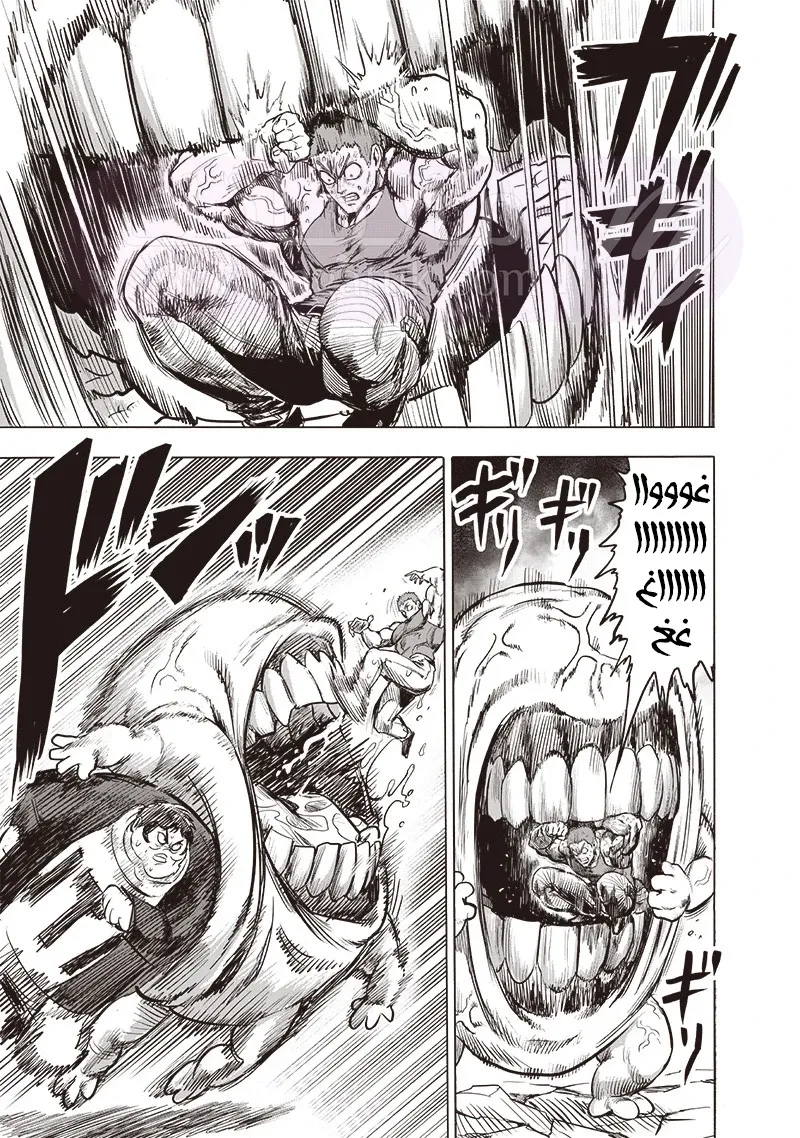 Read One Punch Man AR Manga Online