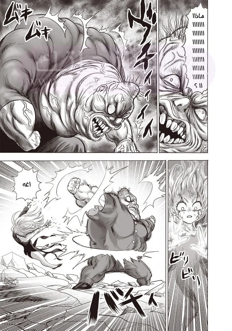 Read One Punch Man AR Manga Online