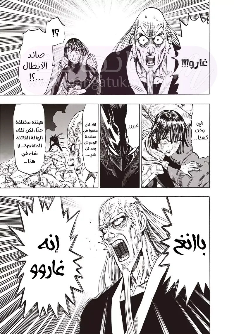 Read One Punch Man AR Manga Online