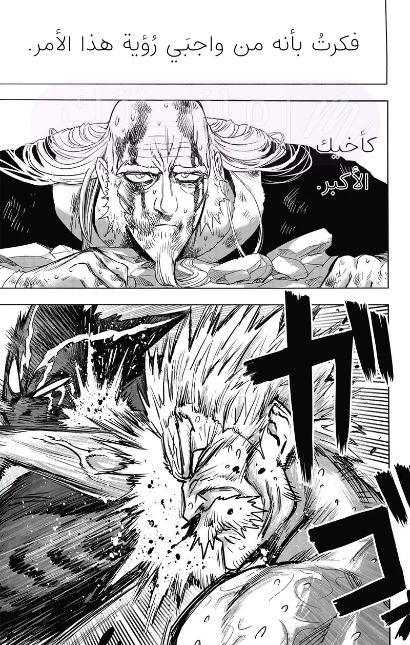 Read One Punch Man AR Manga Online